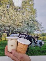 Duo p'tits fromage à tartiner figue/ciboulett