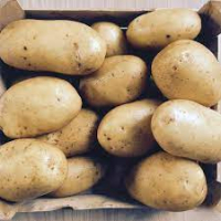 Pomme de terre blanche