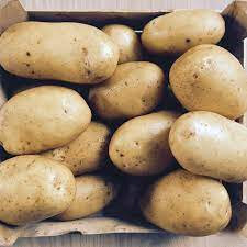 Pomme de terre blanche