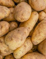 Pomme de terre bintje