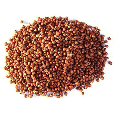 Graines à cuire - sorgho - 500 gr