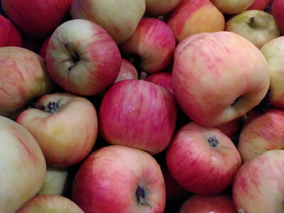 Pomme pirouette