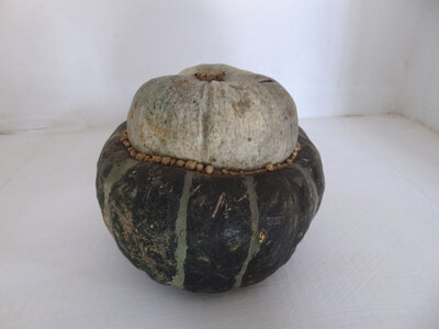 Courge bonbon