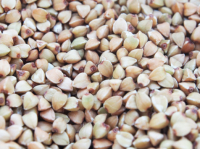 Graines de sarrasin décortiquées