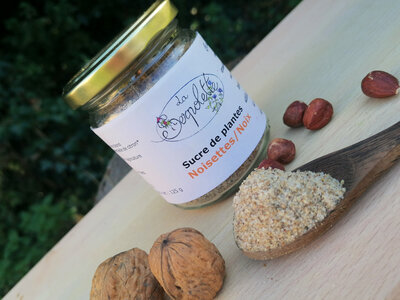 Sucre et plantes noix/noisettes