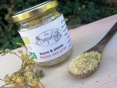Sucre et plantes reine des prés