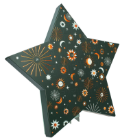 Etoile de l'avent 'céleste