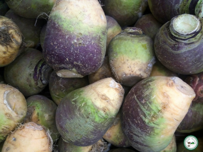 Rutabaga