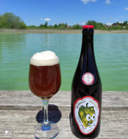 Red ipa- brasserie hoptimalt