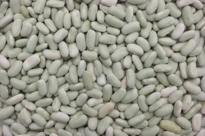 Haricot flageolet grains- à écosser