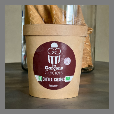 Sorbet chocolat caraîbes bio & vegan