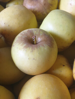 Pommes opal
