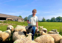 1kg poitrine agneau bio