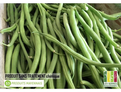 Haricot vert 1 personne