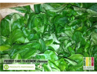 Mâche - 1 personnes