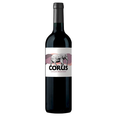 Corus