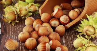 Noisette  de sainte menehould