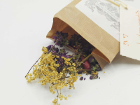 Tisane du barde - guerriers de l'hiver