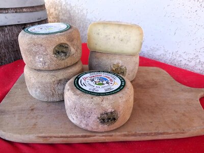 Tomette lait cru de vache aromatisée au thym