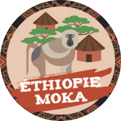 Café ethiopie jebena sidama