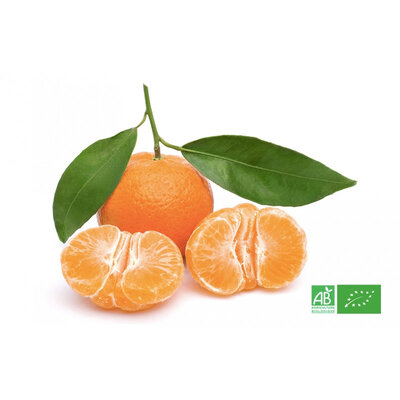 Pamplemousse bio
