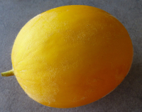 Melon boule d'or petit calibre