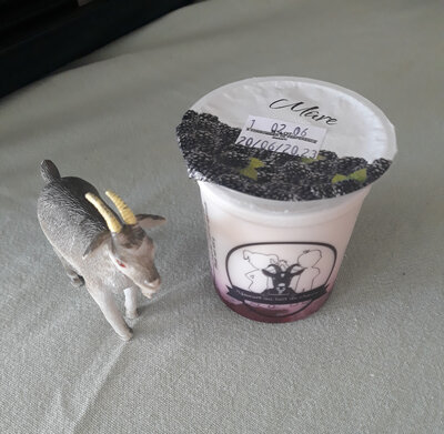 Yaourt chèvre mûre