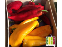 Poivrons rouge et jaune long
