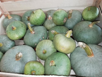 1kg en tranche de bleue de hongrie