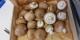 Champignons de paris bruns - image 3
