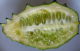 Kiwano (immature) - image 2