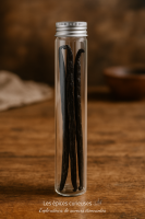 Vanille bourbon de madagascar