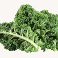 Chou kale