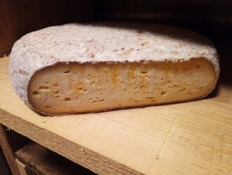 Tomme jeune / raclette de chèvre
