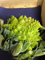 Chou romanesco