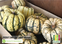 Courge patidou - unité