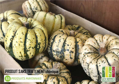 Courge patidou - unité