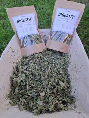 Digestiz'