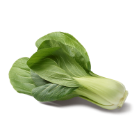 Chou chinois pak-choi