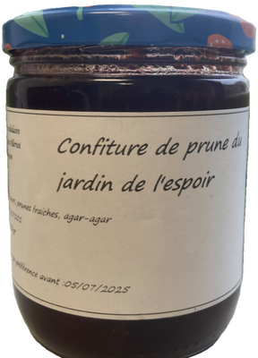 Confiture de prune du jardin espoir