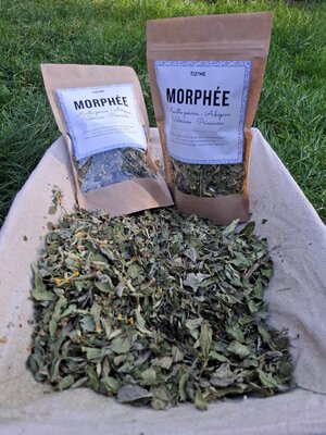 Morphée
