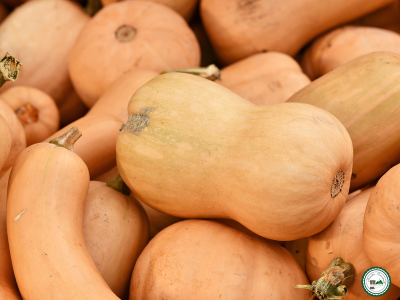 Courge butternut