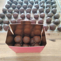 Rochers aux fruits rouges