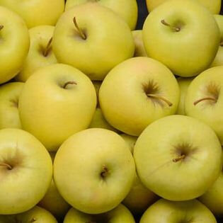 Pomme golden