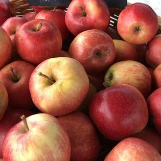 Pomme fuji