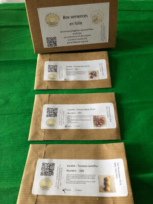 Box semences tomates cerises mini