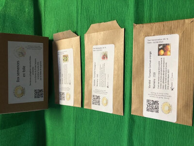 Box semences tomates surprenantes mini
