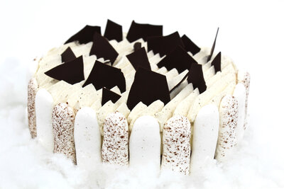 Grand vacherin vanille cacao (8/10 parts)