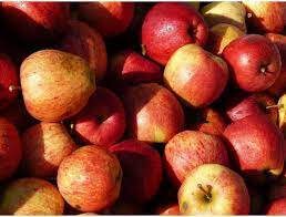 Pomme gala vrac 5kg 'bon marché'
