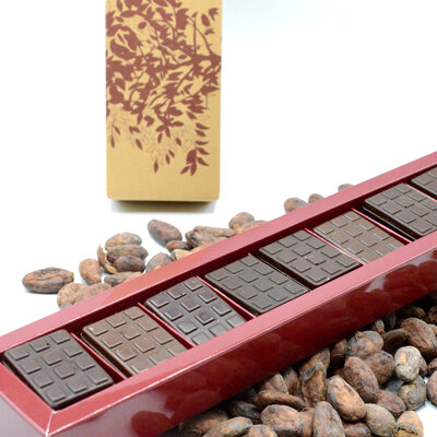 Coffret découverte